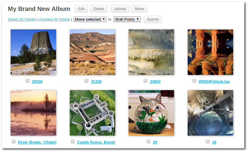 BuddyPress Media 2.10 with Album Management & Shortcodes