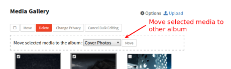 bulk edit move media