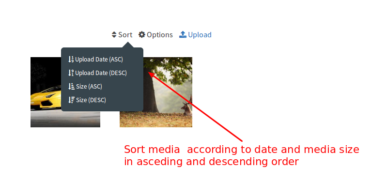 rtMedia PRO 2.3 with Sorting, Social Sharing and More