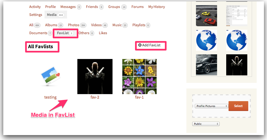 rtMedia PRO 2.4 with FavLists and more