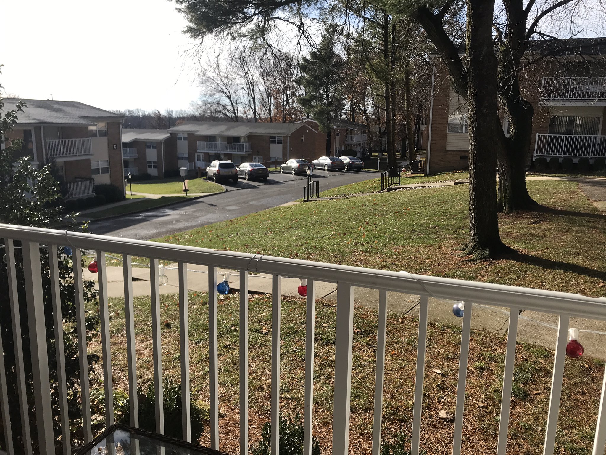 Bright_day_in_New_Jersey