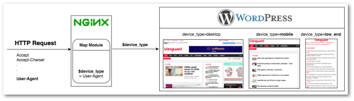 WordPress website and NGinx server setup