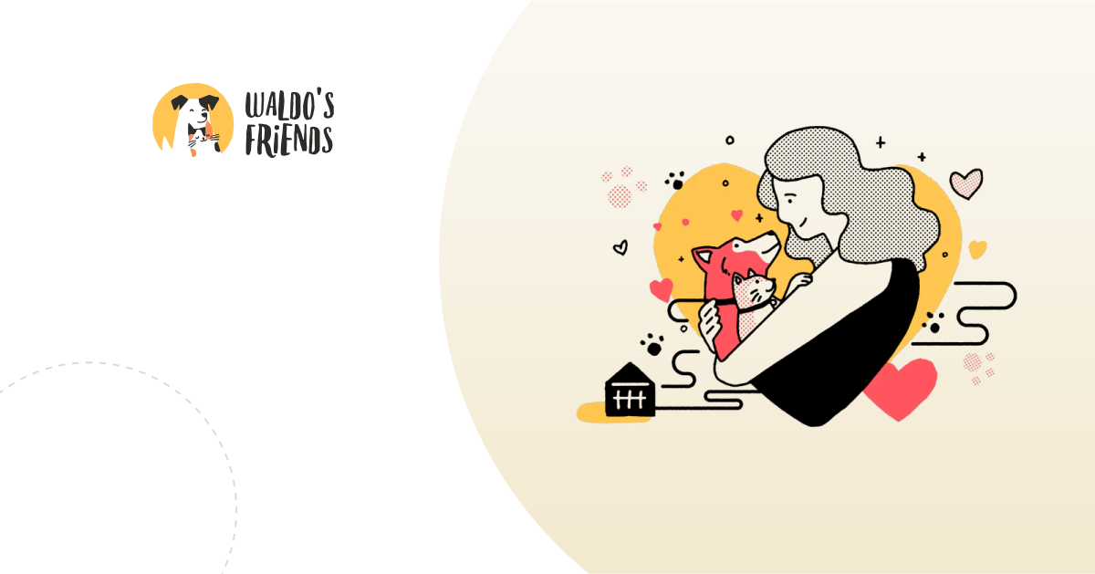 Decoupled WordPress Solution for Waldo’s Friends
