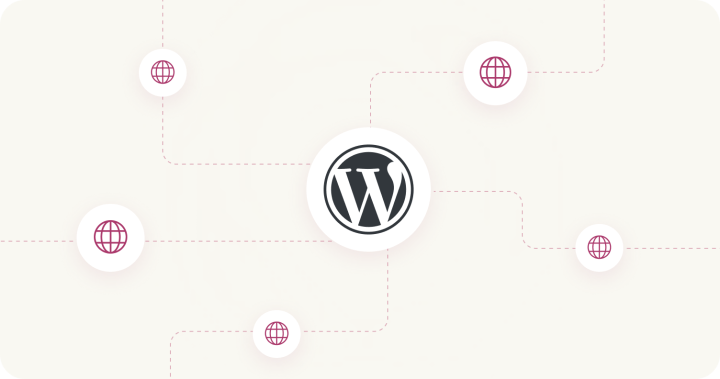 What is WordPress