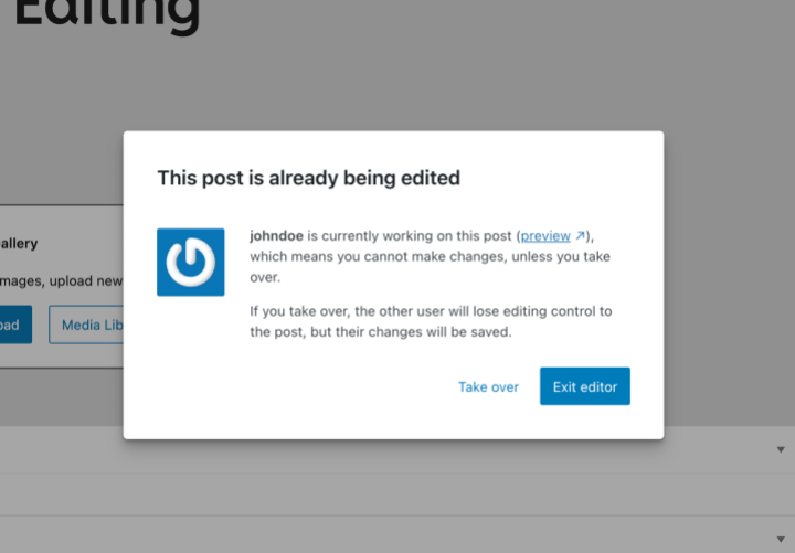 WordPress Editing Interface