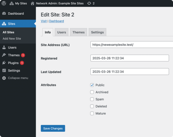 WordPress domain mapping